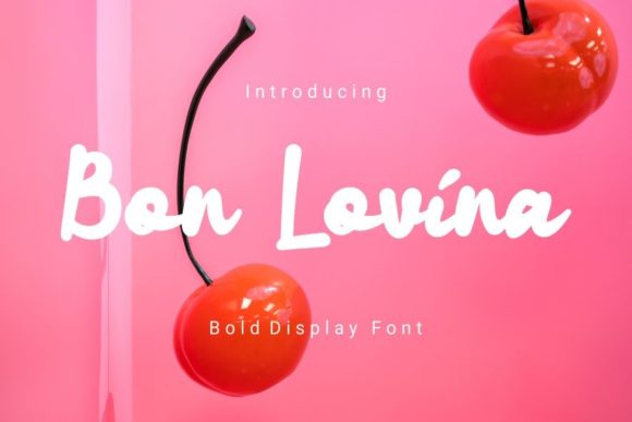 A Practical Review of the Bon Lovina Display Font