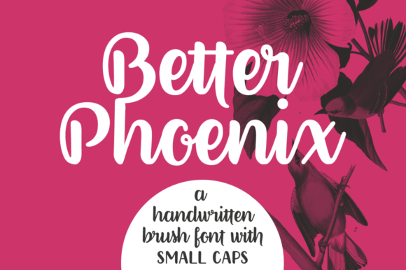 Better Phoenix: A Designer’s Honest Review