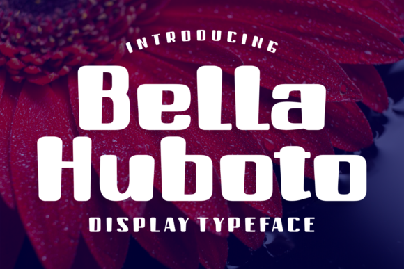 Building a Reading Experience with Bella Huboto